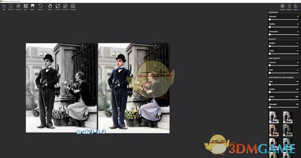 Picture Colorizer Pro(图片着色器)4